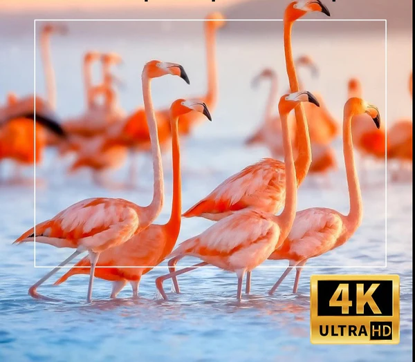 Projetor YG300 Portátil 4K